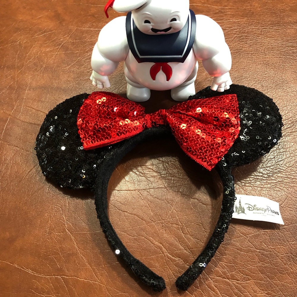 Official Disney Park Ears Worn Once